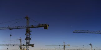 Jaką grubość żyłki na karpia?