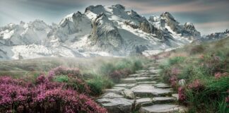 Jakie sporty można uprawiać w górach?