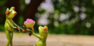 Co to jest OC sportowe?