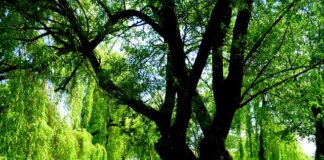 Co przyciąga turystów na Mazury?