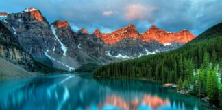 Co zrobić gdy ktoś zajął moje miejsce parkingowe?