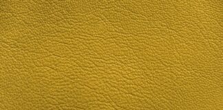 Czy przed porami roku jest The?