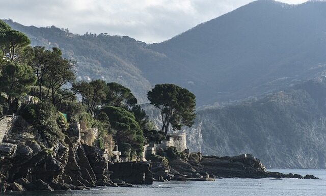 Ile kosztuje OC roweru?