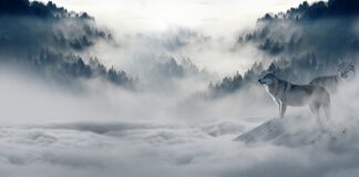 Jak się nazywa po angielsku zima?