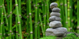 W jakim sporcie Japonia jest najlepsza?