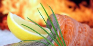 Gdzie na dorsze 2023?