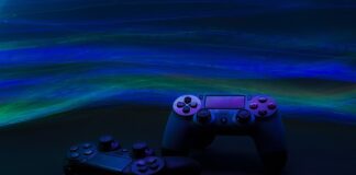 Co robić z psem w wolnym czasie?