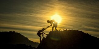 Czy można wnieść jedzenie na koncert?