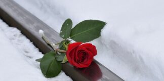 Jak wymyślić imię dla psa?