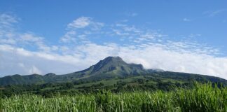 Ile razy Pele był mistrzem świata?