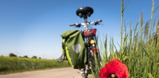 Jak Pokochać aktywność fizyczna?