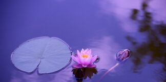 Czy joga jest dobra na stres?