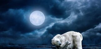 Jak się bronic przed ciosami?