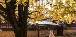 Kiedy zakazano igrzysk olimpijskich?