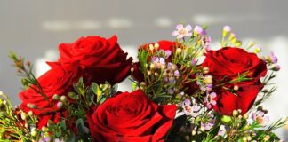 Jaki sport jest najdroższy na świecie?