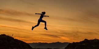 Jaka rasa psa do biegania?