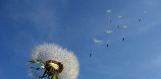 Jak wyprowadzić prosty cios?