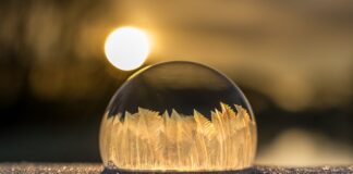 Jak zrobić oszronione owoce?