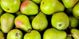 Czy gruszki w syropie trzeba pasteryzować?