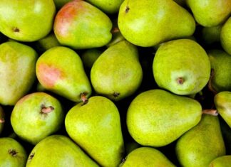 Czy gruszki w syropie trzeba pasteryzować?