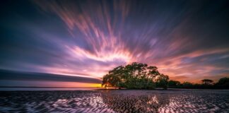 Na co uważać w Australii?