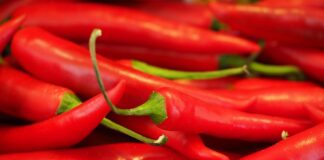 Czy kapsaicyna zabija raka?
