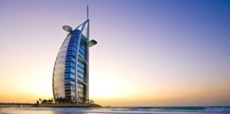 Jak się nazywa największy pająk na świecie?