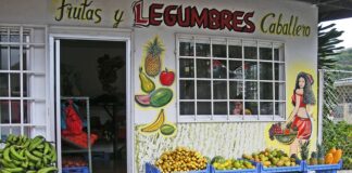 Czy papaję można jeść na surowo?