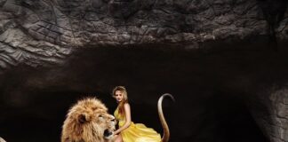 Czy da się oswoić pająka?